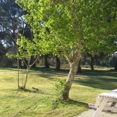 Naujac-sur-mer, 3 Pièces, 4 Personnes - Fr-1-440-24 Hébergement de vacances Naujac-sur-Mer