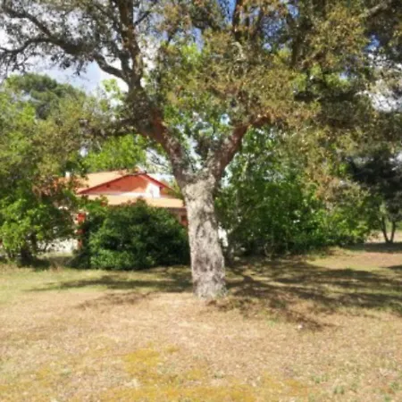 Naujac-sur-mer, 3 Pièces, 4 Personnes - Fr-1-440-24