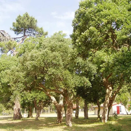 Hébergement de vacances Naujac-sur-mer, 3 Pièces, 4 Personnes - Fr-1-440-24